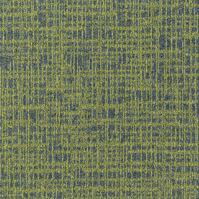 Balanced Hues 646