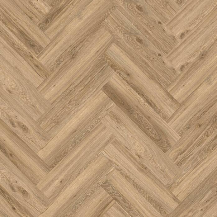 Blackjack Oak 22229