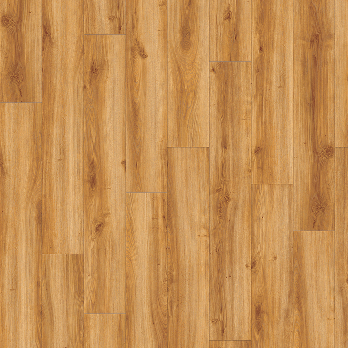 CLASSIC OAK 24438