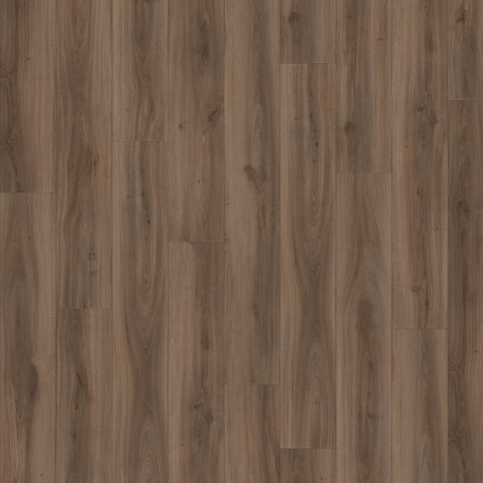 CLASSIC OAK 24864