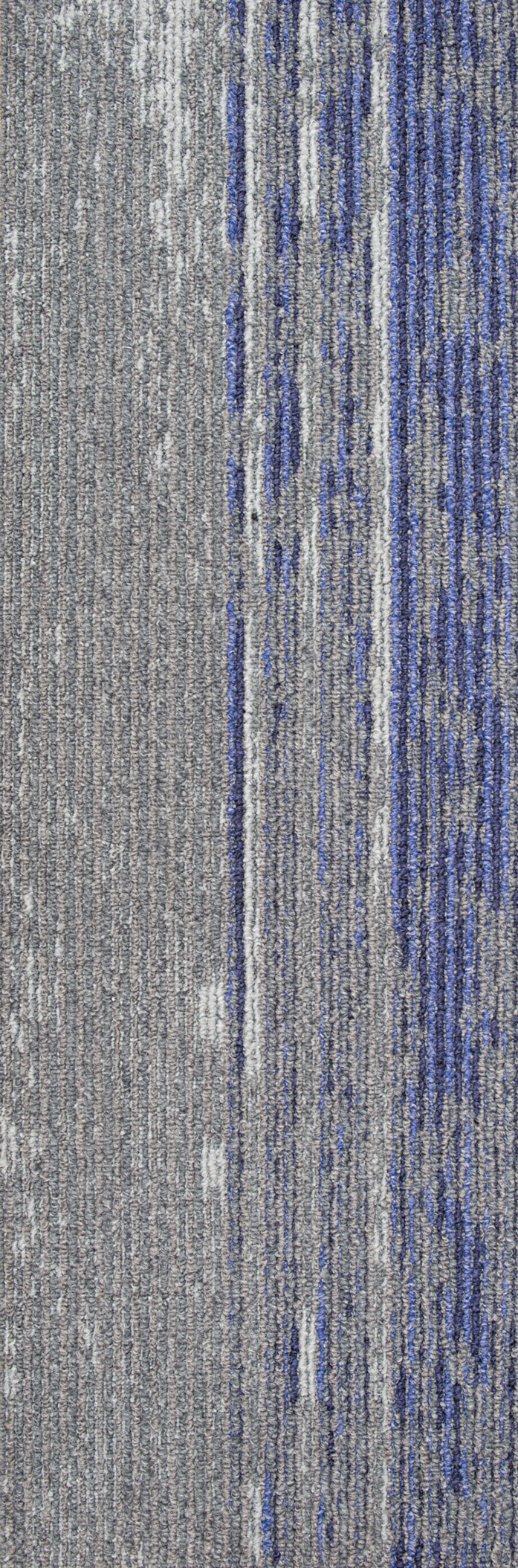 Disruptive Path 914