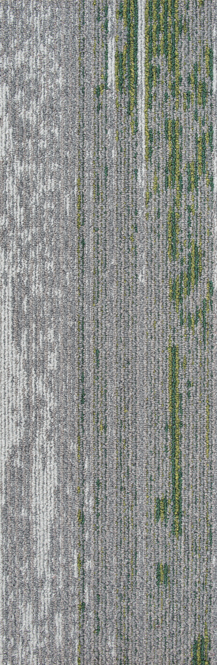 Disruptive Path 916