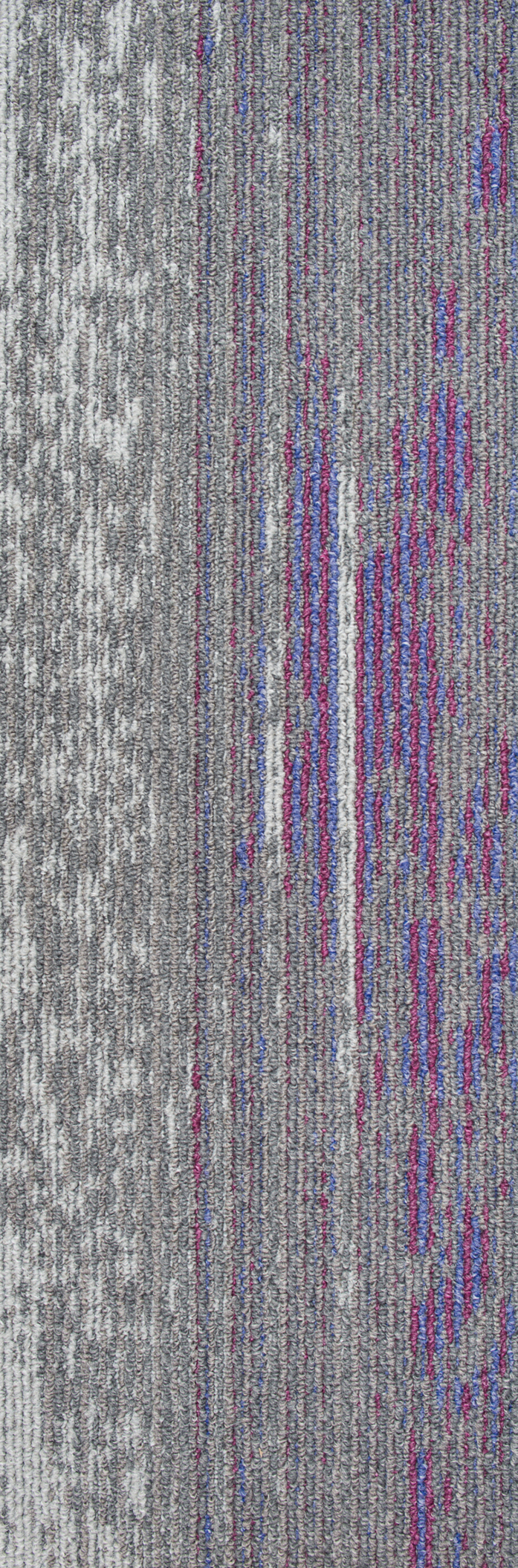 Disruptive Path 919