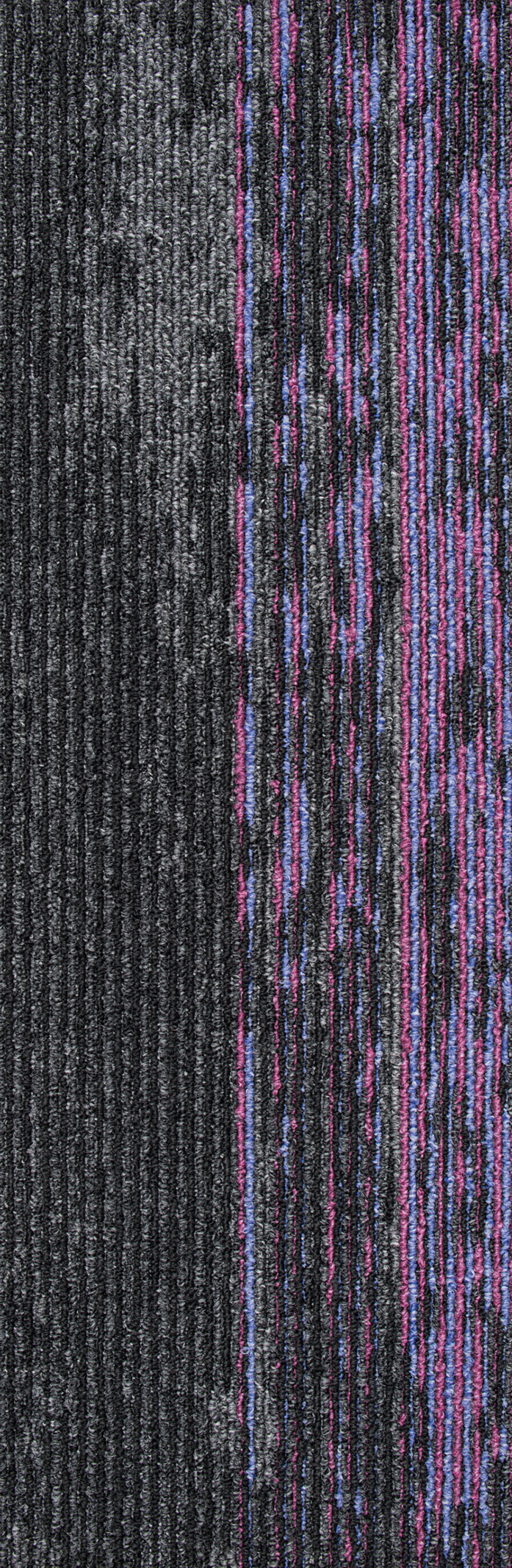 Disruptive Path 944