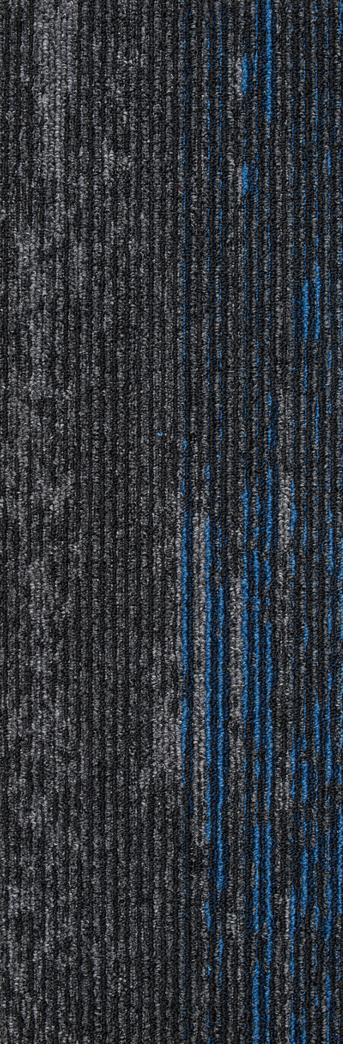Disruptive Path 955