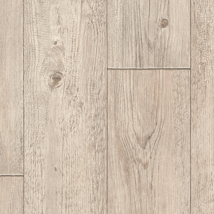 FOXTAIL PINE W06