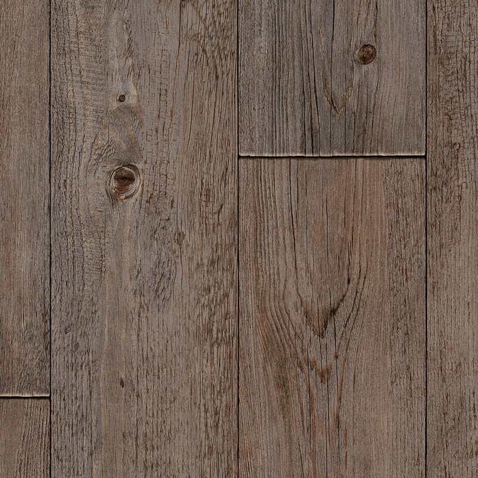 FOXTAIL PINE W96