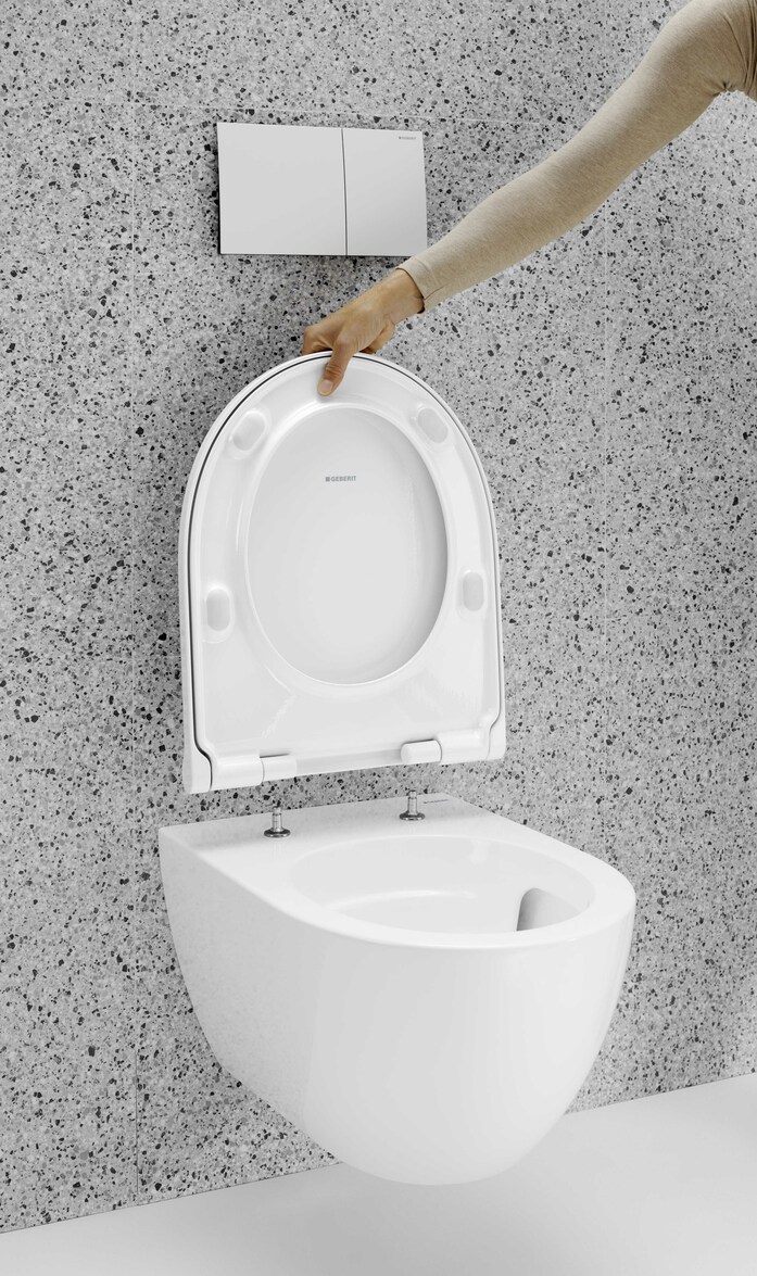 Geberit Acanto Quick Release 1