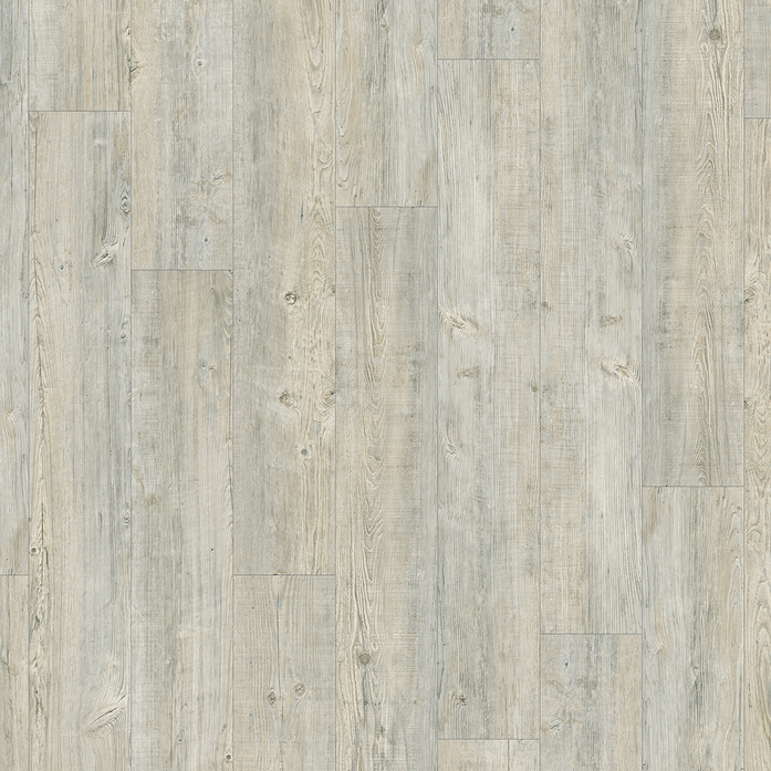 LATIN PINE 24242