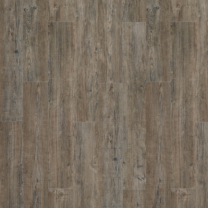LATIN PINE 24868