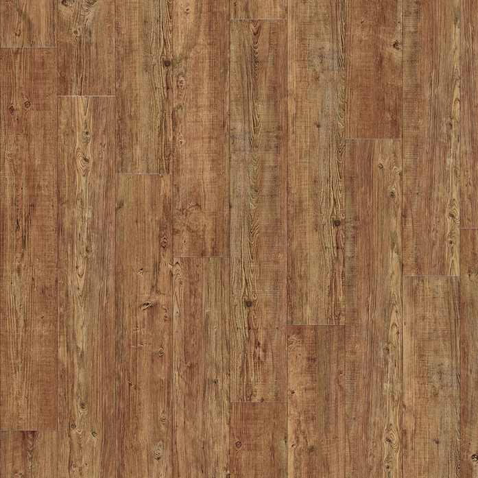 LATIN PINE 24874
