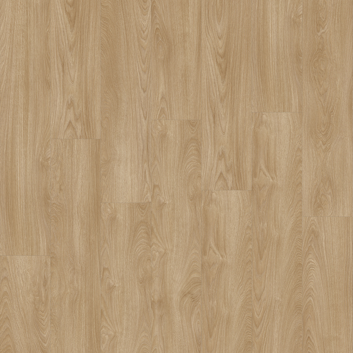 Laurel Oak 51824