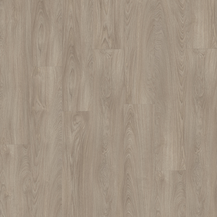 Laurel Oak 51937