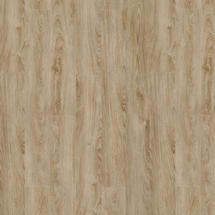 MIDLAND OAK 22231