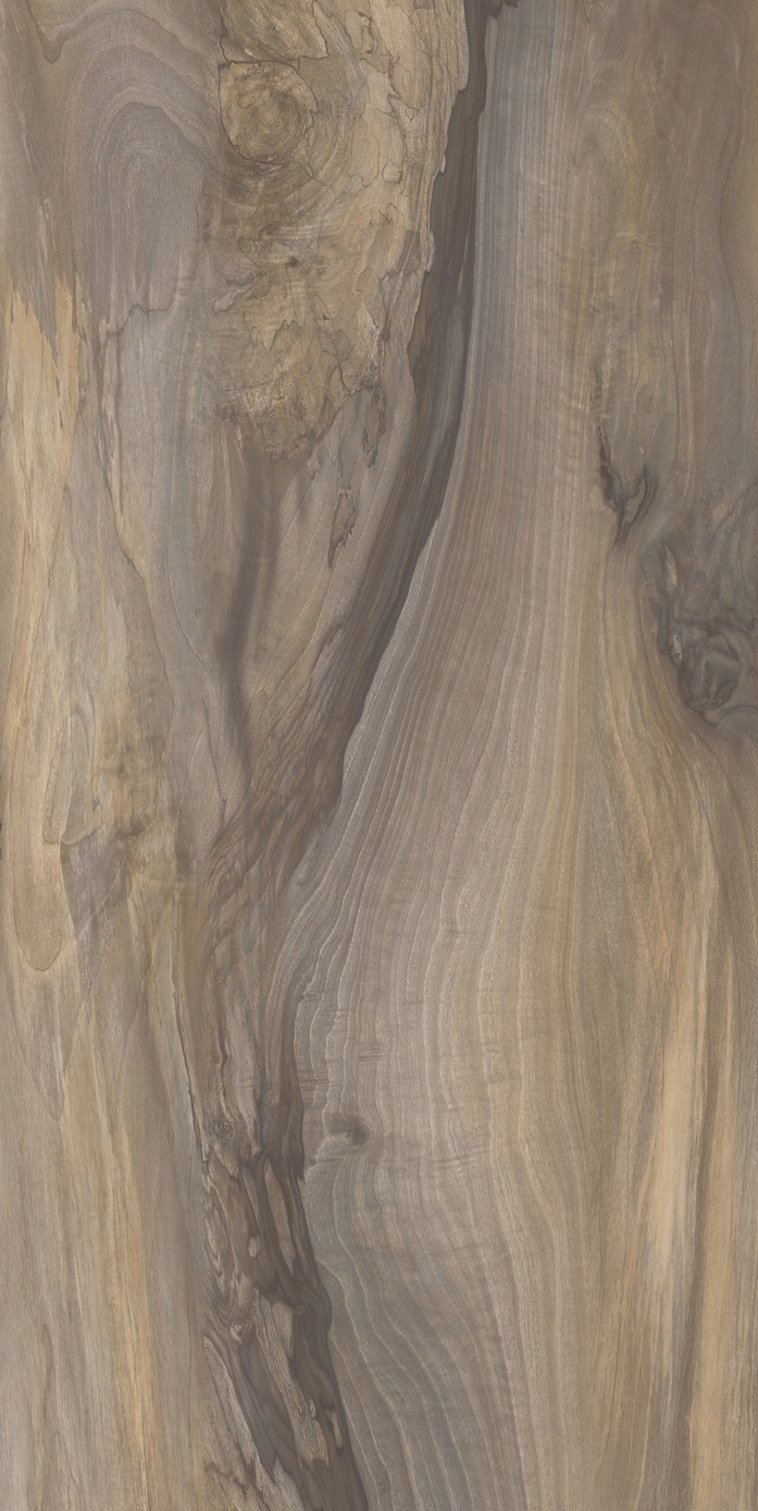 RIVER WOOD 46882