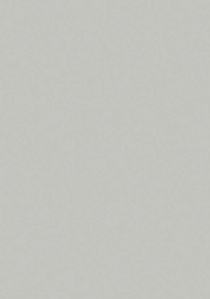 S005 Grey