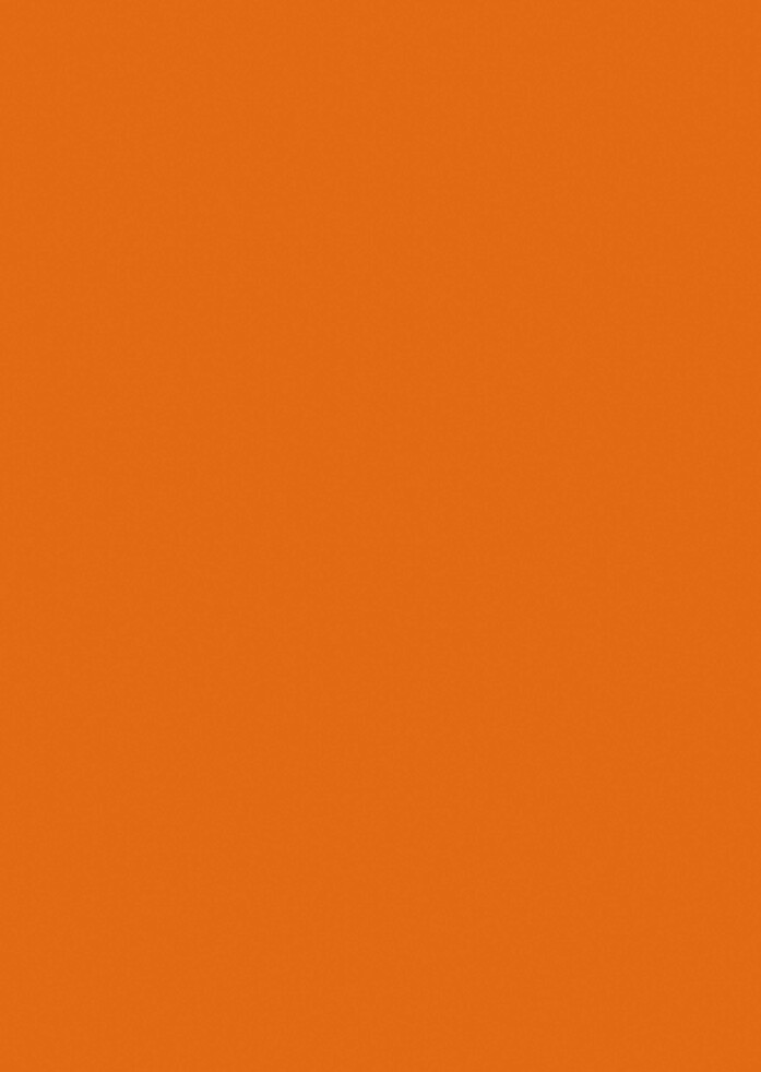 S027 Orange
