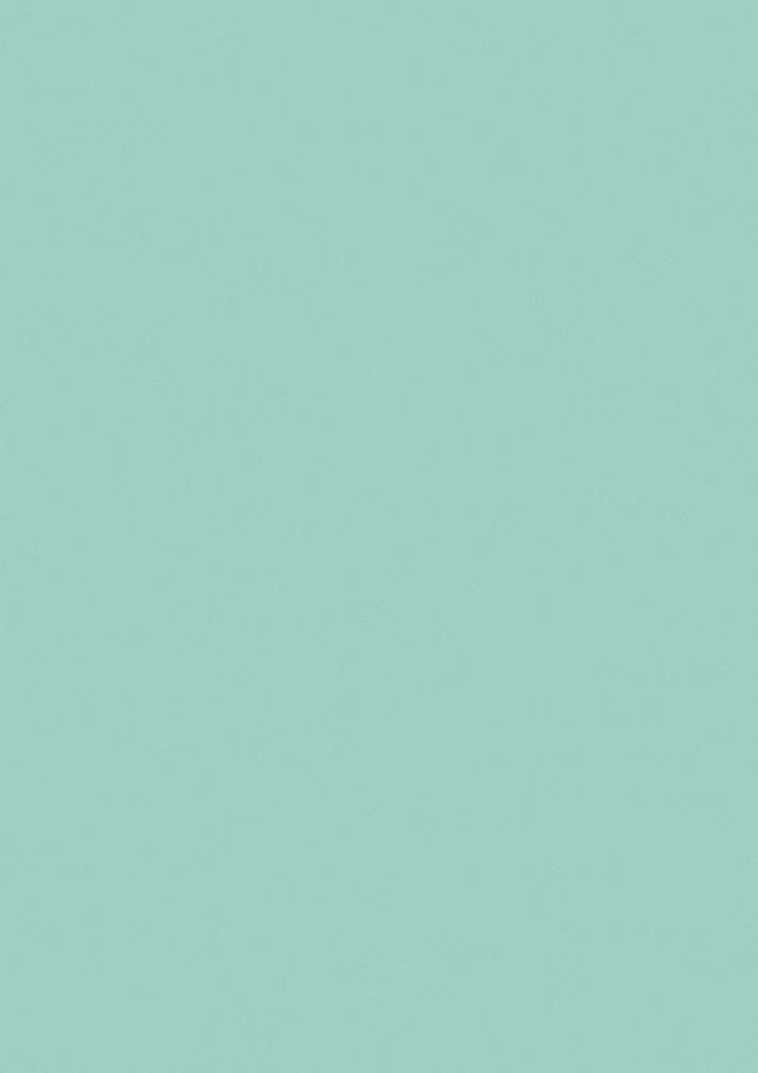 S305 Emerald