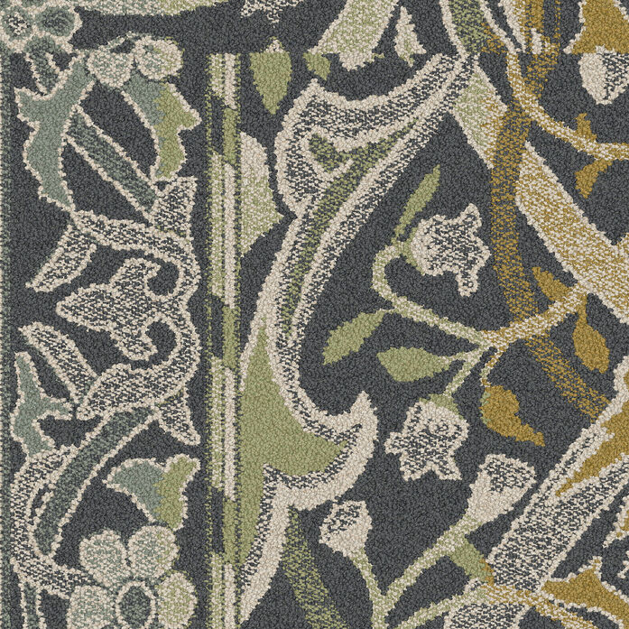 Arley lichen va1 2048x2048