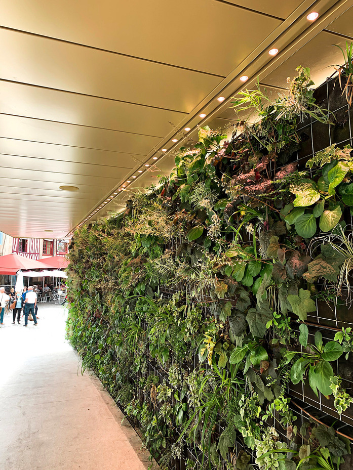 Cour bareuzai dijon led hayat large