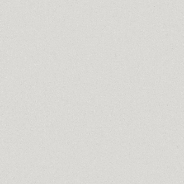 0005400 0207 Dimmer IV R