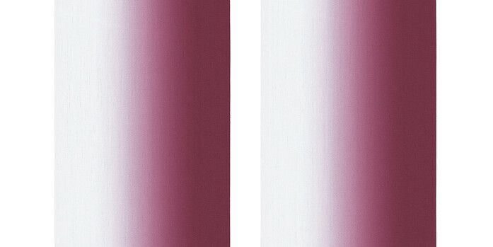 0010830 0091 Rays