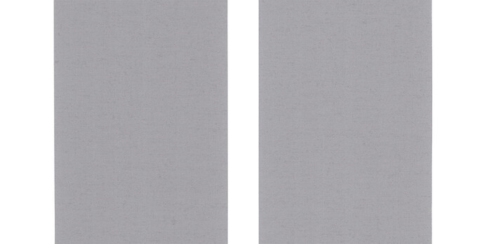 0010870 0001 Densinus