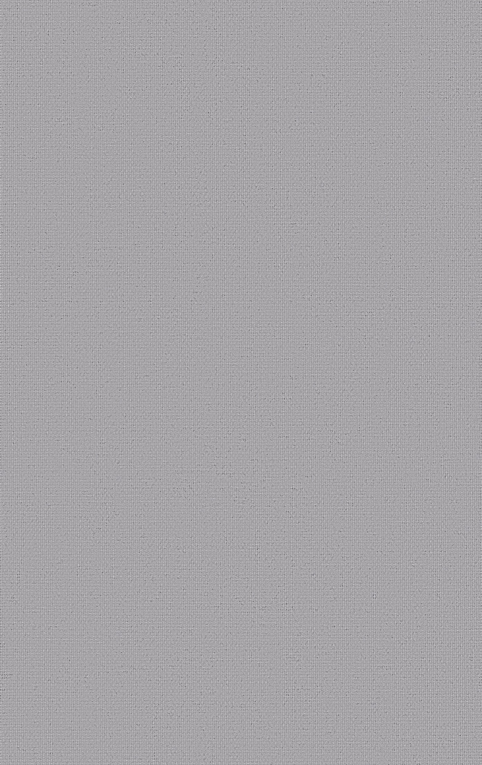 0010870 0001 Densinus diff