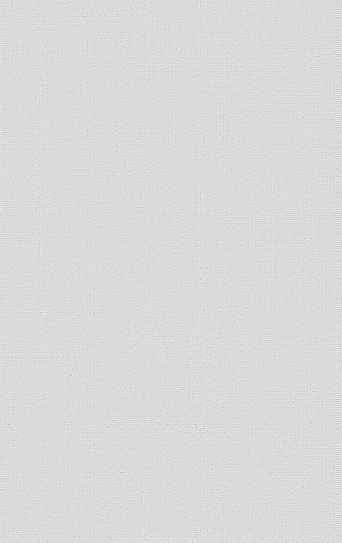 0010870 0002 Densinus R
