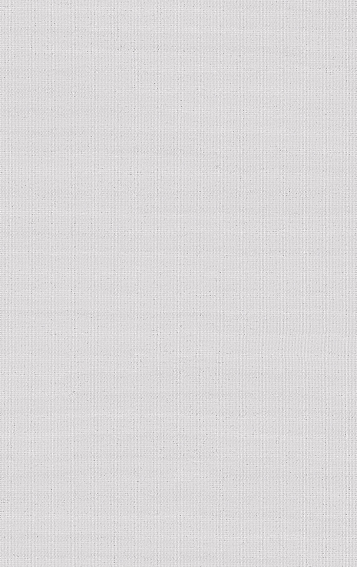 0010870 0002 Densinus diff