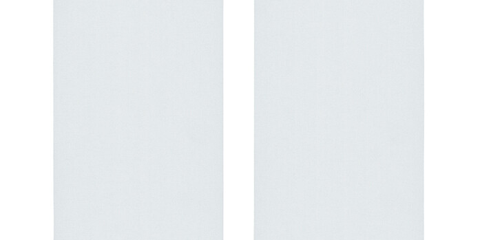 0010870 0003 Densinus