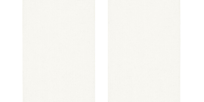 0010870 0004 Densinus