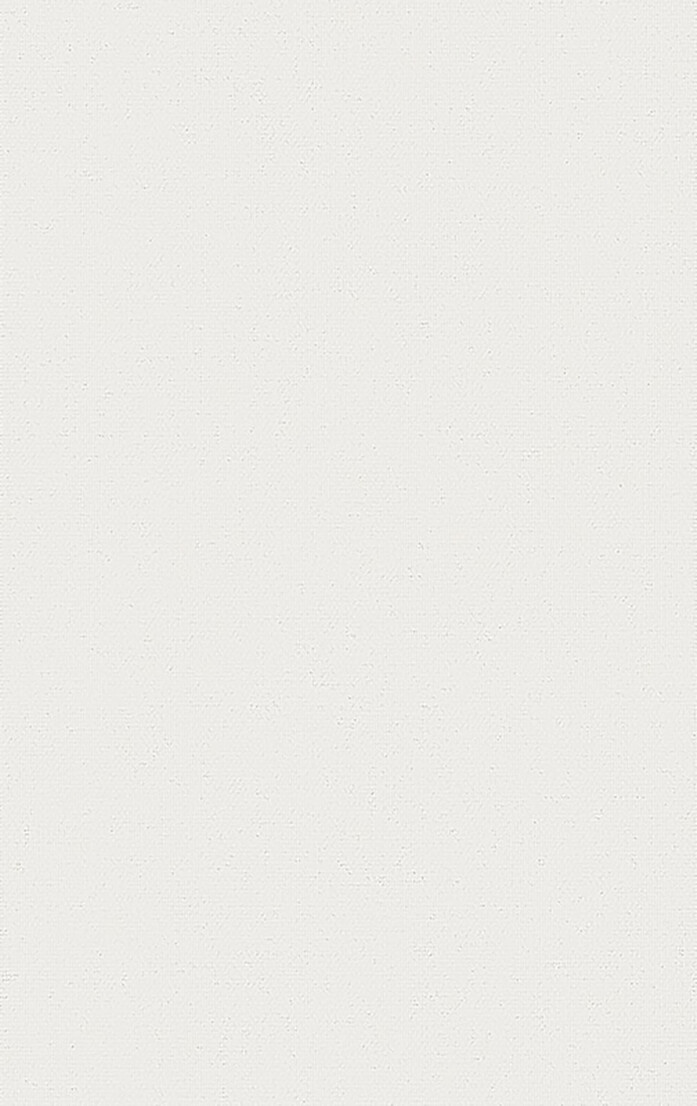 0010870 0004 Densinus R