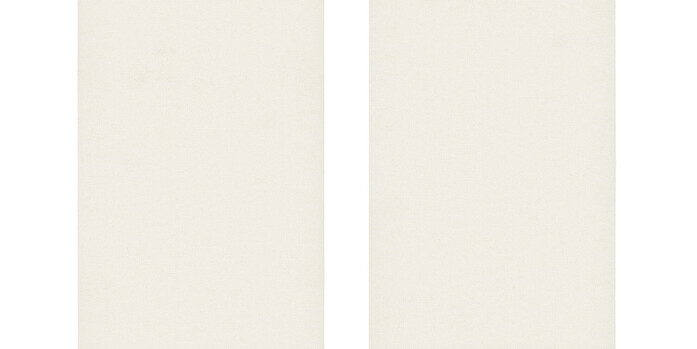 0010870 0005 Densinus