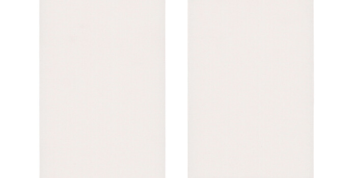 0010870 0006 Densinus