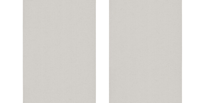 0010870 0007 Densinus