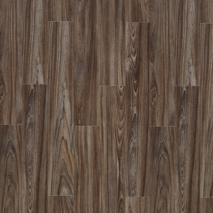 BALTIC MAPLE 28884