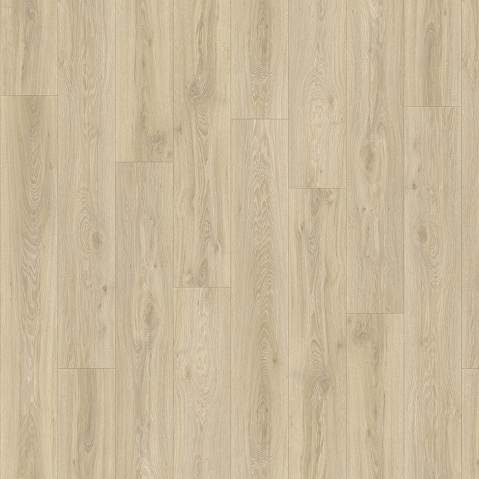 BLACKJACK OAK 22215