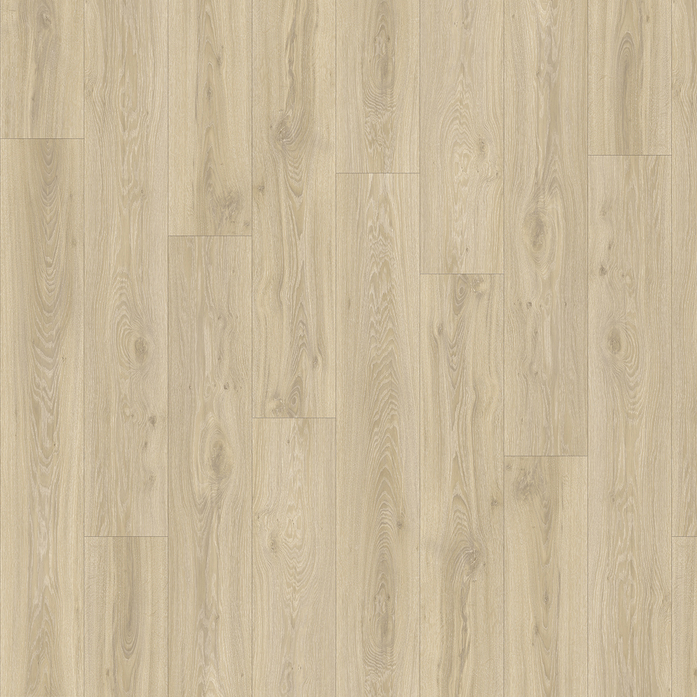 BLACKJACK OAK 22215