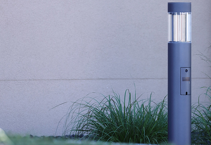 BL Poller Canna 4z5a5274