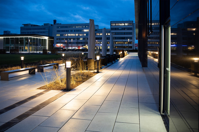 BL Poller Canna MHK 428 A0436