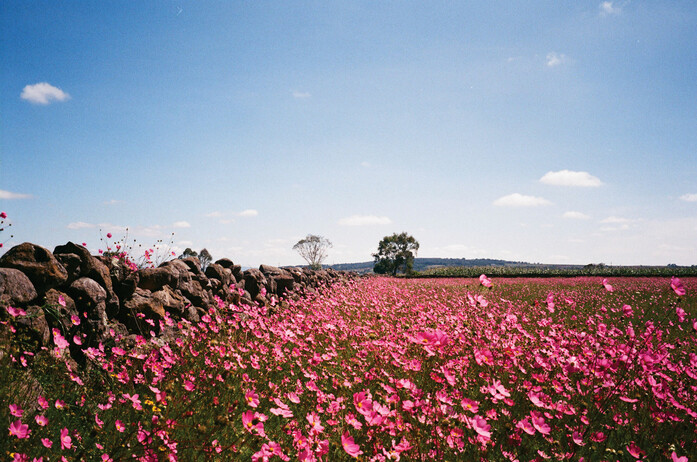 Broken Twill Weave Colour inspiration Kvadrat 2020 Jonathan Olivares 1