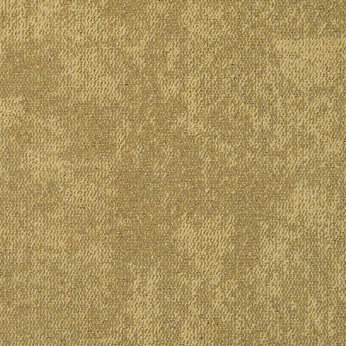 CE100 Search 2048x2048