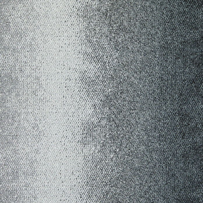 CE200 Emulate Perceive 2048x2048