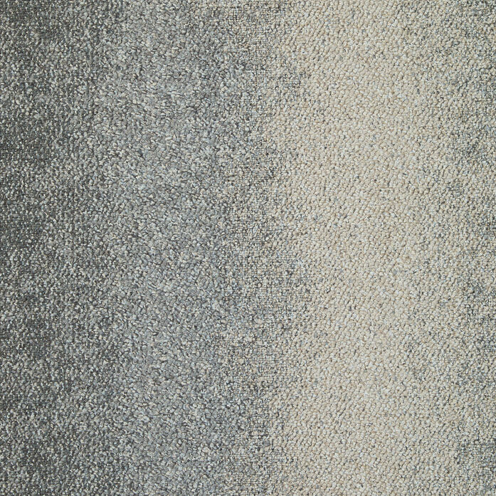 CE200 Survey Expose 2048x2048