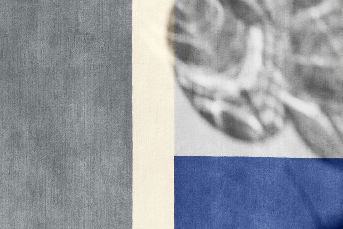 Classi Con roquebrune rug detail hz photo breidt