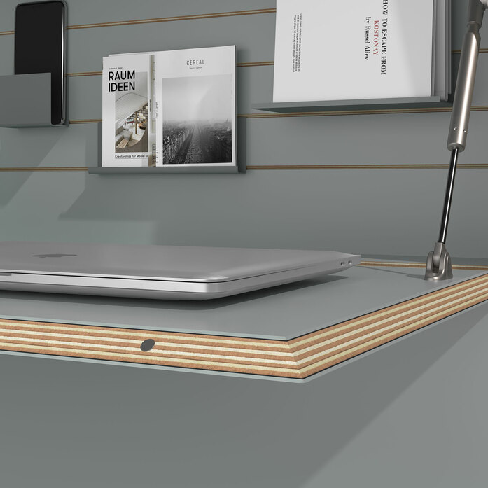 Detailansicht 4132 ash