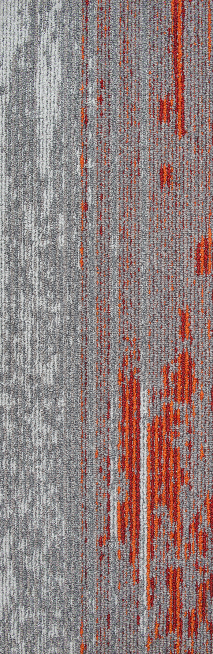 Disruptive Path 913