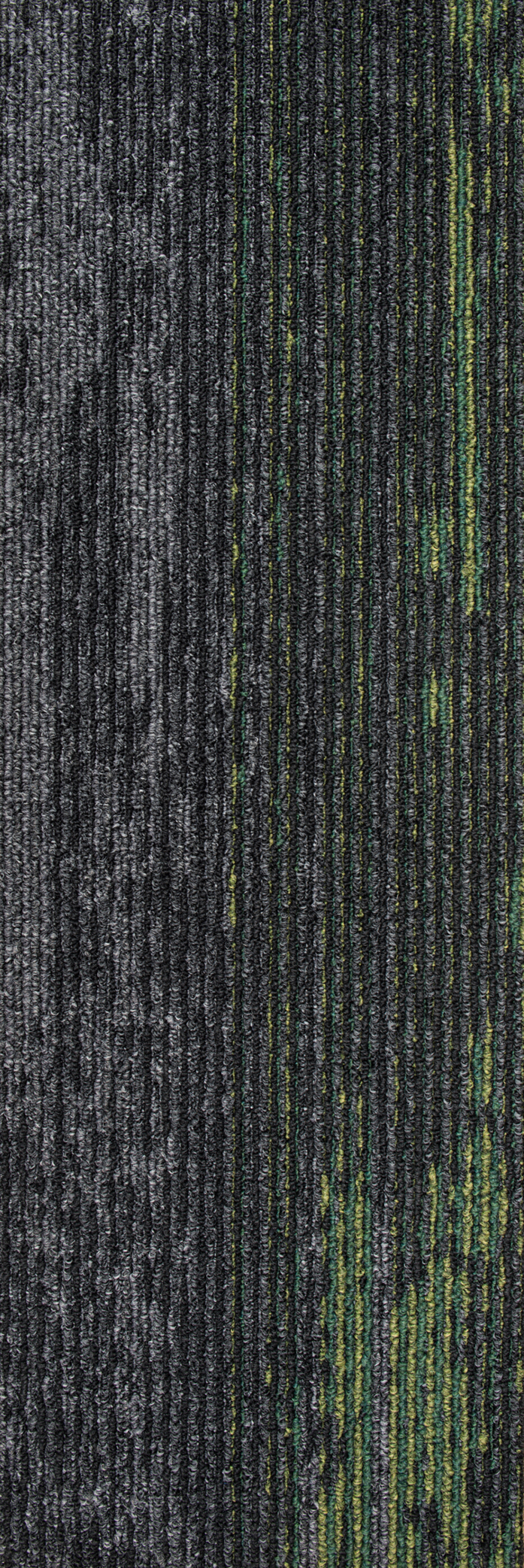 Disruptive Path 946