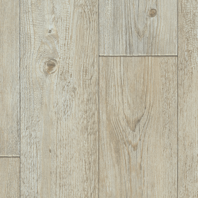 FOXTAIL PINE W92
